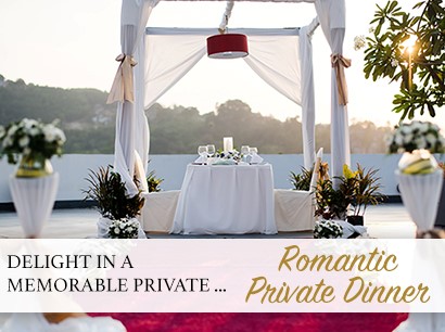 Romantic Private Dinner